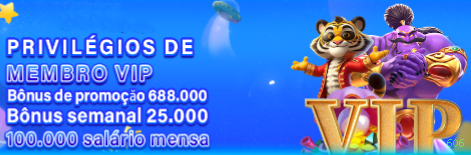 Programa VIP 606 - benefícios exclusivos